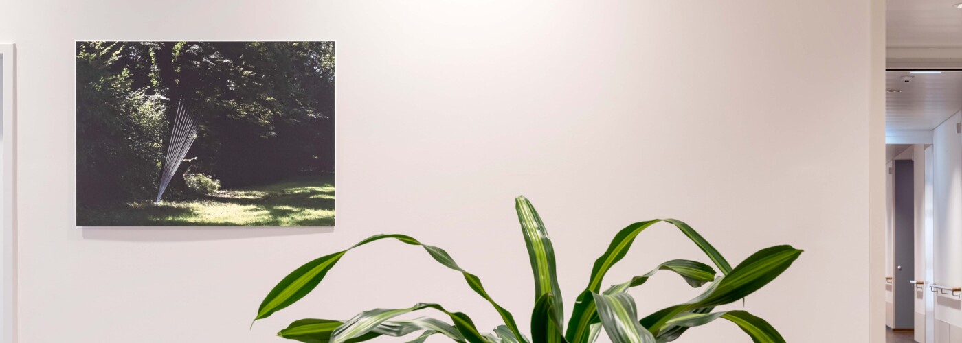 Fotografische Arbeiten, gedruckt auf Alu-Dibond-Platten, jeweils in den Übergängen links und rechts zu den Wohnbereichen des Hauses. Foto: Violetta Wakolbinger.