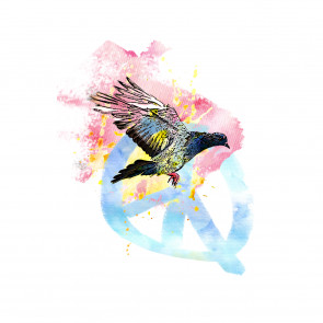 Symbolbild Friedenstaube als Illustration.