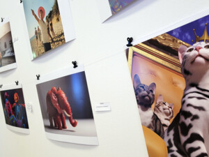 Eine Wand mit mehreren aufgehängten, von Jugendlichen mithilfe von KI erstellten Bildern. Zu sehen sind unter anderem ein Erdbeer-Elefant, Katzen mit einer Krone, ein Mensch am Strand sowie weitere kreative Motive. Die Werke hängen mit Klammern an einer weißen Wand in Galerieform.