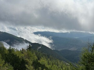 Ein Panoramablick über bewaldete Hügel und tiefer liegende Wolken. Die Landschaft ist grün, der Himmel ist stark bewölkt mit Lichtöffnungen zwischen den Wolken.