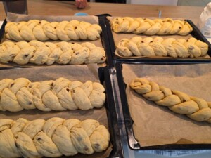 Mehrere Backbleche mit rohen, geflochtenen Allerheiligen-Striezeln, die auf Backpapier ausgelegt sind. Die Striezel enthalten Rosinen und sind zum Aufgehen vorbereitet.