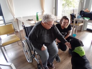 Eine Person im Rollstuhl beugt sich vor und streichelt Therapiehund Buddy am Kopf, während eine Betreuer:in daneben hockt und lächelt. Der Raum ist hell und freundlich mit großen Fenstern und Holzboden.