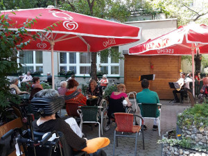 BewohnerInnen sitzend vor Musiker im Garten des Hauses.