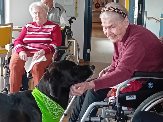 Eine ältere Person im Rollstuhl beugt sich zu Therapiehund Buddy und streichelt ihn sanft am Hals. Weitere Bewohner:innen sitzen im Hintergrund, eine Person hat die Augen geschlossen und lächelt.