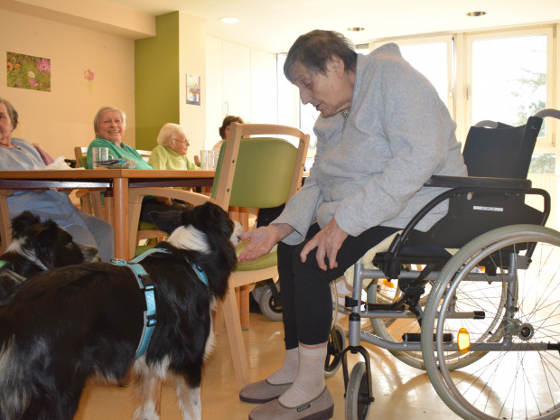 Bewohnerin sitzend hält Therapiehund die Hand zum Schnuppern hin.