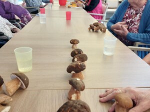 Ein Tisch mit einer Reihe frischer Steinpilze in der Mitte. Rundherum sitzen mehrere Senior:innen in geselliger Runde.