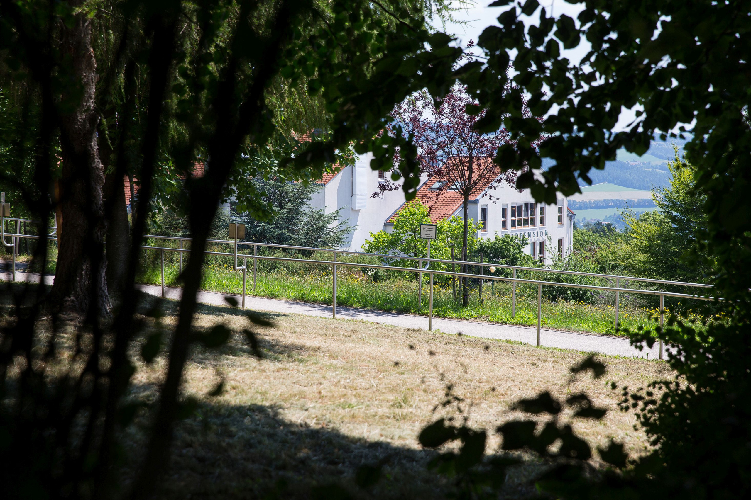 Die Waldpension ist nach Gründer Jakob Wald benannt. Sie ist jedoch auch von viel Wald und Grün umgeben. 