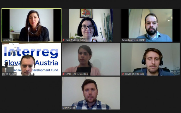 zoom meeting of project participants