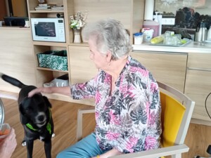 Eine ältere Person sitzt auf einem gelben Stuhl und streichelt Therapiehund Buddy, der ein grünes Halstuch trägt. Im Hintergrund ist eine gemütlich eingerichtete Küche mit Regalen, Mikrowelle und Dekoration zu sehen.