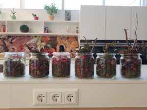 Sechs Einmachgläser, gefüllt mit Moos, Beeren, Kastanien, Ästen und anderen Naturmaterialien, stehen dekorativ auf einer weißen Theke. Im Hintergrund eine helle, modern eingerichtete Küche.