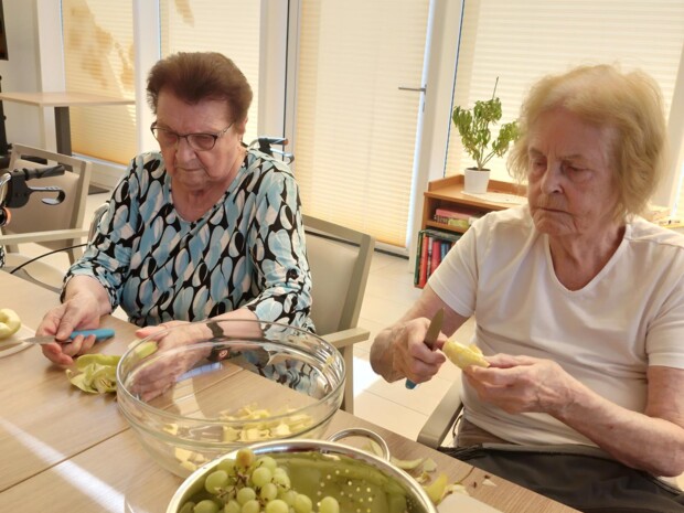 Zwei Senior:innen sitzen an einem Tisch und schneiden Obst für einen Obstsalat. Auf dem Tisch stehen eine große Glasschüssel mit geschnittenem Obst sowie ein Sieb mit grünen Trauben und weiteren Äpfeln. Beide Personen wirken konzentriert bei der Arbeit.