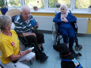 Bewohnerin des ÖJAB-Hauses St. Franziskus streichelt den Therapiebegleithund Nami. Frauchen Maria kniend links.