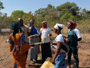 Eine Gruppe von Erwachsenen steht im Freien auf trockenem Boden zwischen Büschen und Bäumen und bespricht gemeinsam Imkerei-Arbeiten. Mehrere Personen halten hölzerne Rähmchen mit Waben in den Händen; ein geöffneter Bienenstockkasten liegt auf dem Boden. Eine Person trägt ein Kind auf dem Rücken. Die Gruppe wirkt konzentriert und im Austausch über die Arbeit mit den Bienen.