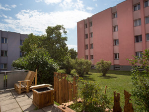 Garden of the ÖJAb-Haus Mödling.