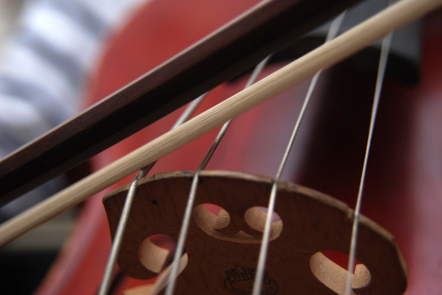 Symbolbild Cello. Foto: seget / pixabay.com