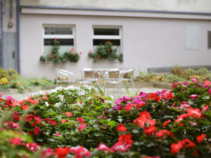 Patio of the ÖJAB-Haus Dr. Rudolf Kirchschläger.