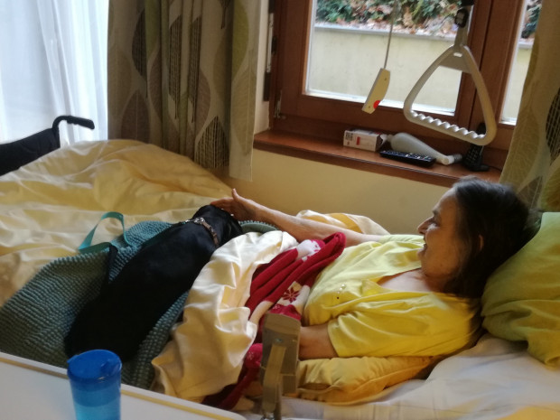 Therpaiehund liegend auf Bettdecke von Bewohnerin liegend im Bett.