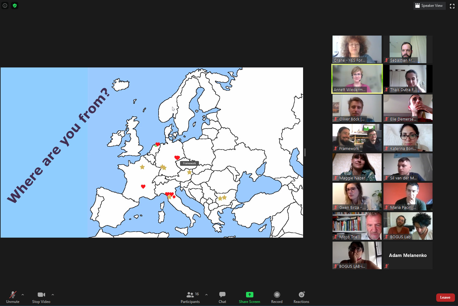 Online meeting of the VOICE project group.