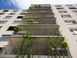 Large green communal balconies with a view to the Lebenscampus Wolfganggasse.