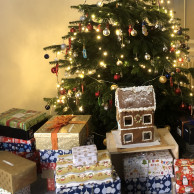 Bunte Geschenkkartons unter dem Weihnachstbaum im ÖJAB-Haus Greifenstein.