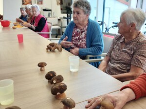 Mehrere ältere Personen sitzen gemeinsam an einem Tisch mit frischen Steinpilzen. Es wird gesprochen und gelacht.