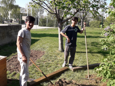 Unbegleitete minderjährige Flüchtlinge bei der gemeinschaftlichen Gartenarbeit.