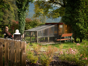 BewohnerInnen im Garten der ÖJAB SeniorInnenwohnanalage Aigen in Salzburg.