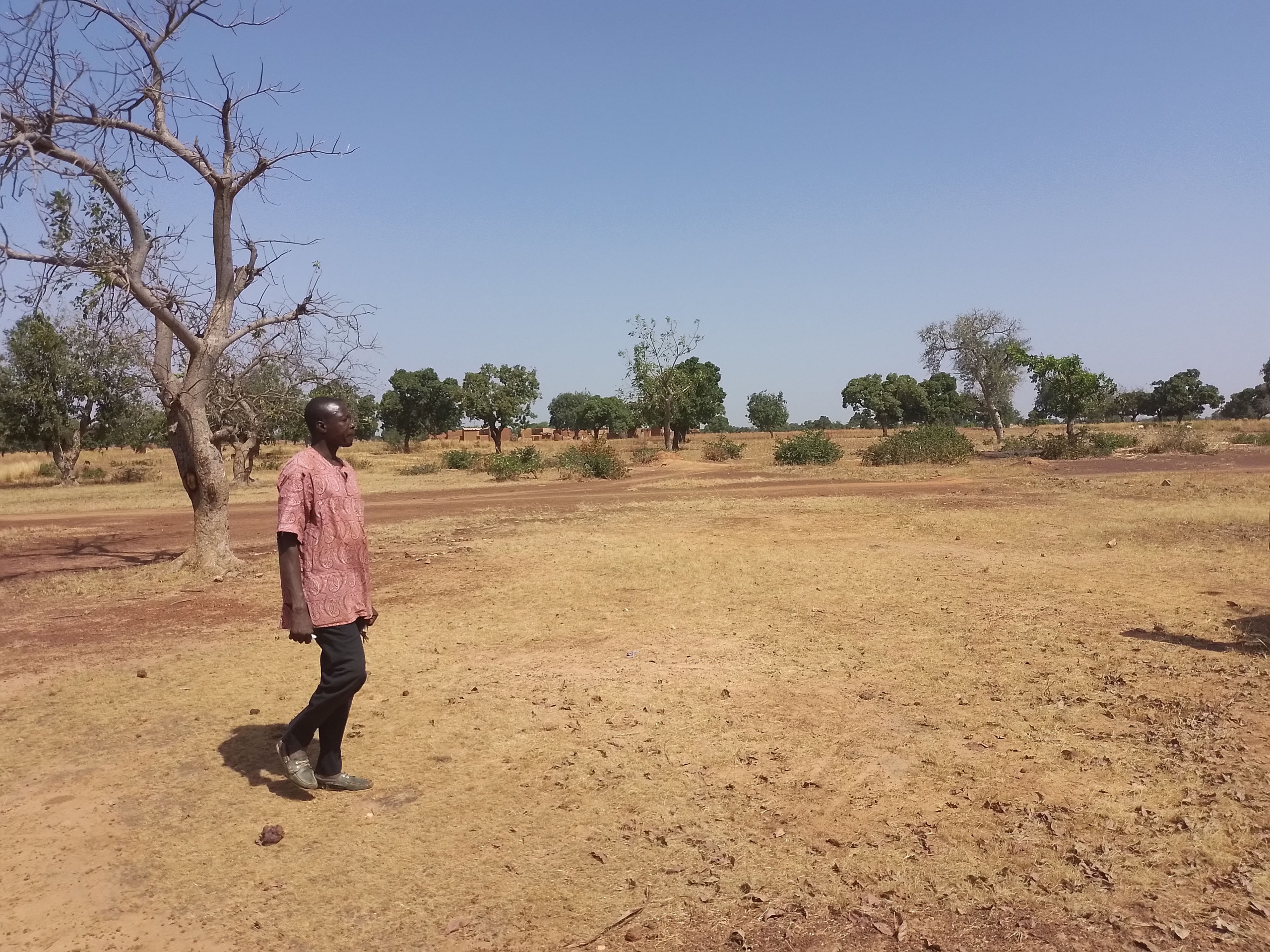 Wie sich die Trockenheit in Burkina Faso im Klimawandel entwickeln wird und welche Auswirkungen das auf Österreich, Europa und die Welt haben wird, beleuchtet die  Konferenz am 1. Juni 2024 in Wien. Foto: Thomas Kronberger.