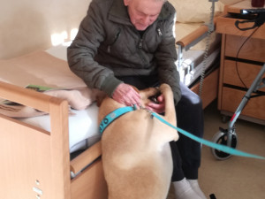 Bewohner sitzend im Bett vor Therapiehund sitzend vor ihm.