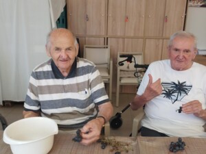 Zwei ältere Menschen sitzen an einem Tisch und entfernen Trauben von den Stielen. Auf dem Tisch liegen viele dunkle Weintrauben und eine weiße Schüssel.