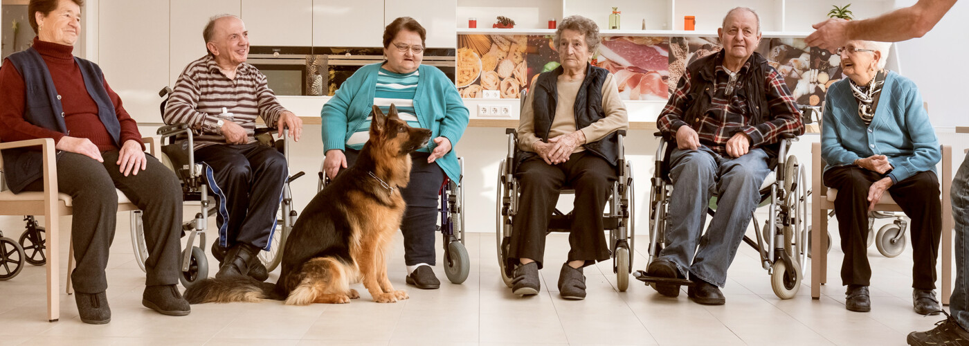 BewohnerInnen mit Hund im Aufenthaltsraum des ÖJAB-Hauses St. Franziskus.