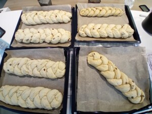 Mehrere Backbleche mit rohen, geflochtenen Allerheiligen-Striezeln, die auf Backpapier ausgelegt sind. Die Striezel enthalten Rosinen und sind zum Aufgehen vorbereitet.
