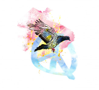 Symbolbild Friedenstaube als Illustration.