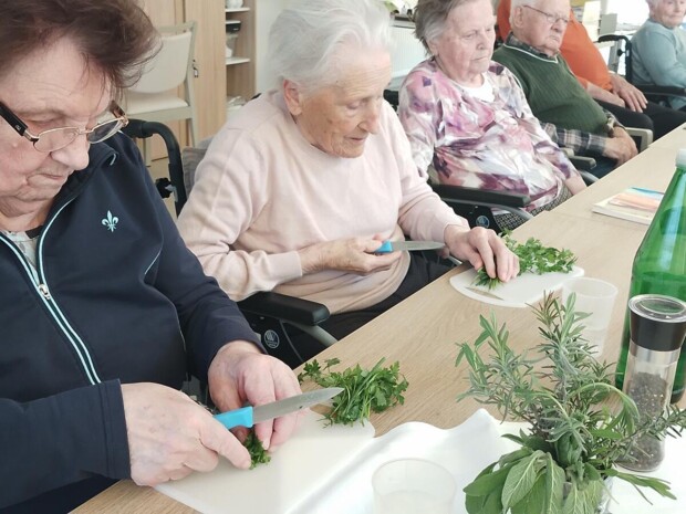 Mehrere ältere Bewohner:innen sitzen nebeneinander an einem Tisch und schneiden frische Kräuter auf Schneidebrettern. Vor ihnen liegen Bündel von grünen Kräutern, Messer und Becher. Die Personen konzentrieren sich auf ihre Tätigkeit, während Sonnenlicht den Raum erhellt und eine entspannte Arbeitsatmosphäre schafft.