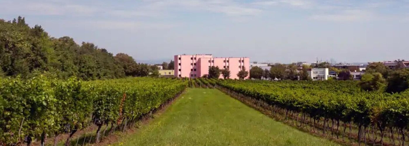 Außenaufnahme des ÖJAB-Haus Mödling mit Grünfläche..