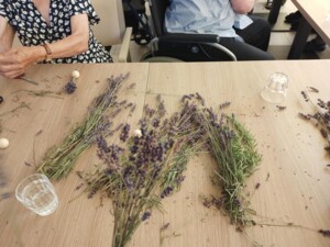 Nahaufnahme von frischen Lavendelzweigen, die auf einem Tisch liegen. Hände einer älteren Person sind teilweise sichtbar, wie sie die Zweige bearbeitet. Kleine Lavendelblüten liegen verstreut auf dem Tisch, was auf eine aktive Bastelrunde hindeutet.