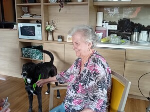 Eine ältere Person sitzt auf einem Stuhl in der Gemeinschaftsküche und berührt liebevoll Therapiehund Buddy. Der Hund trägt ein grünes Halstuch und steht ruhig daneben, während eine weitere Person rechts am Bildrand zu sehen ist.