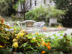 Patio of the ÖJAB-Haus Dr. Rudolf Kirchschläger.