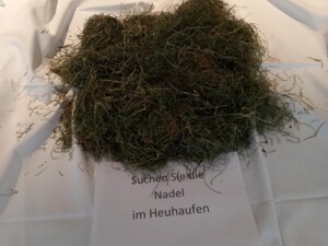 Auf einem Tisch liegt ein großer Haufen getrocknetes Heu. Ein darunterliegendes Schild trägt die Aufschrift: "Suchen Sie die Nadel im Heuhaufen". Diese Station regt zum konzentrierten Wahrnehmen an.